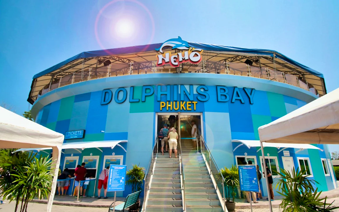 Combo: Dolphins Bay Phuket and Phuket Crocodile Farm and Show